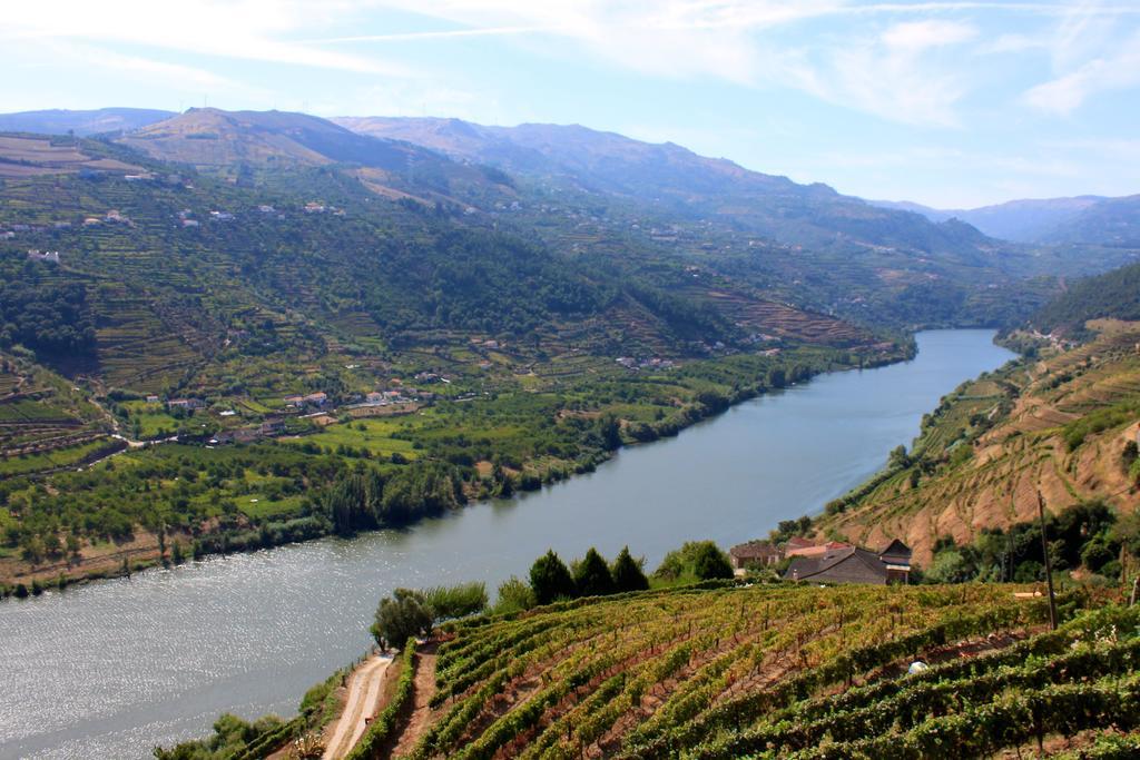 Camping Lamego Douro Valley Luaran gambar