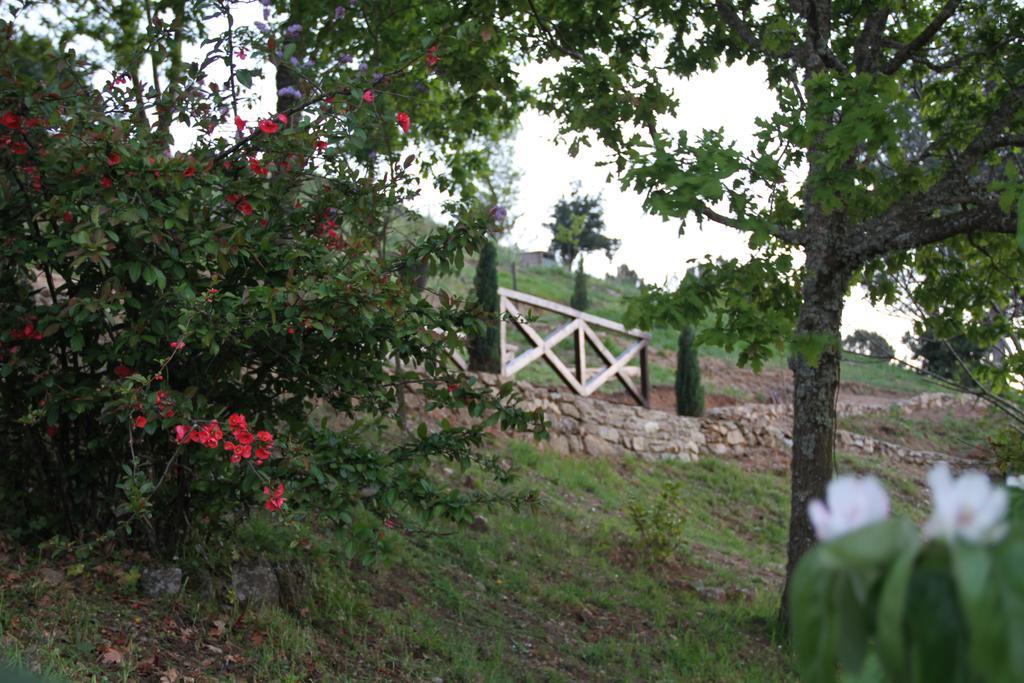 Camping Lamego Douro Valley Luaran gambar