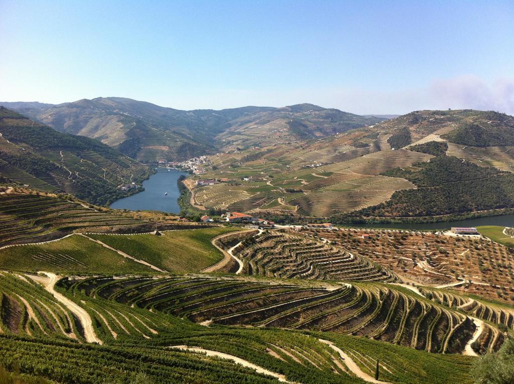 Camping Lamego Douro Valley Luaran gambar